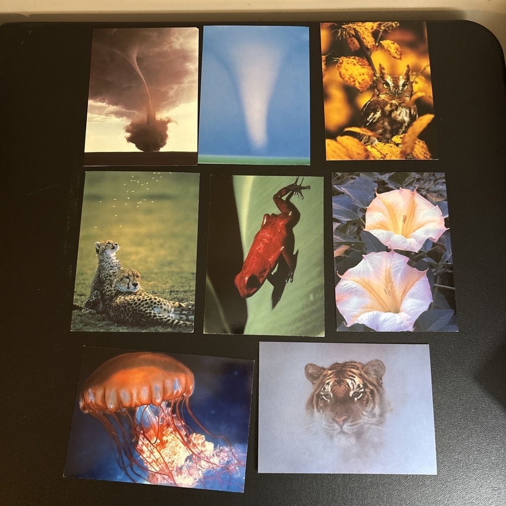 Lot Of 8 Vintage Any Occasion Blank Cards Sierra Club & Healthy Planet W/Env